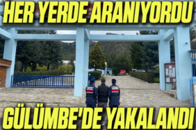 yy