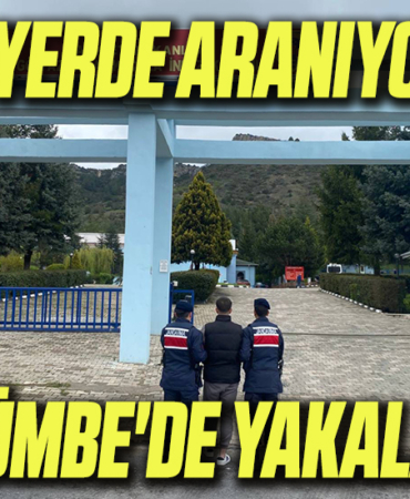 yy