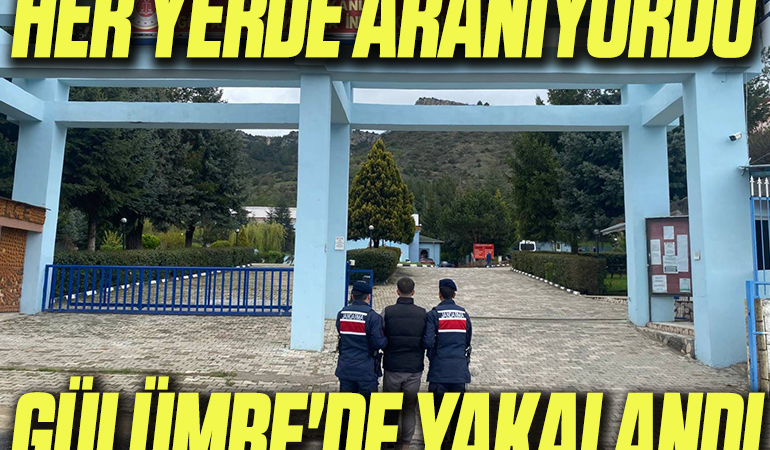 yy