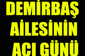 dwsfedg