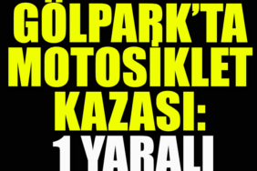 egdvdfhntgf