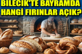 fırın
