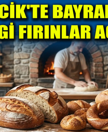 fırın