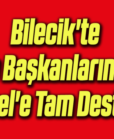 ilçe