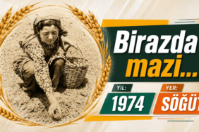 mazi
