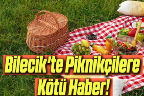 piknikk