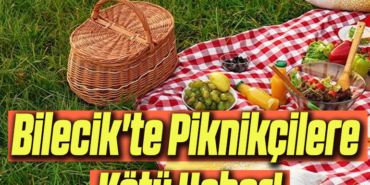 piknikk