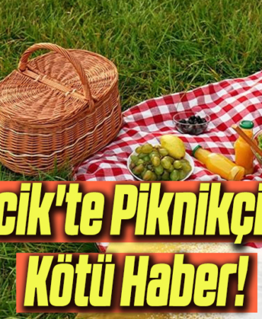 piknikk