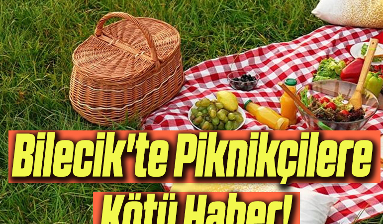 piknikk