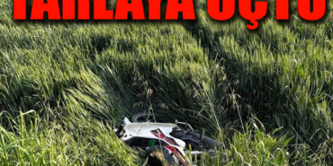 taaaaaa