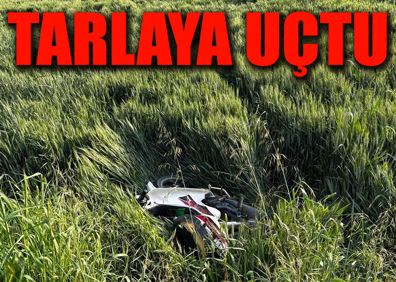 taaaaaa