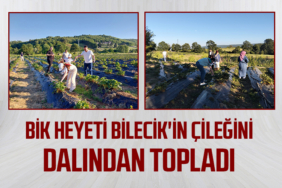 BİK Heyeti Bilecik'in Çileğini Dalından Topladı