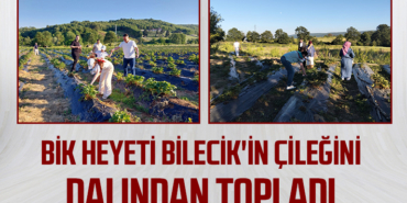 BİK Heyeti Bilecik'in Çileğini Dalından Topladı