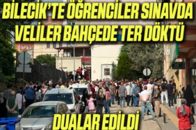 SINAV