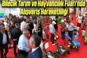 alış
