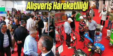 alış