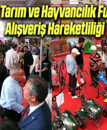 alış