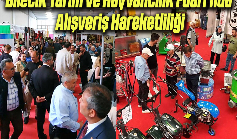 alış