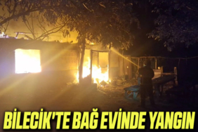 bağ