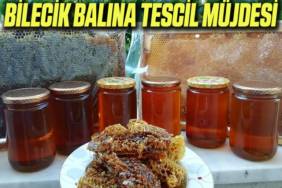 bal