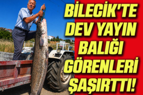 balık