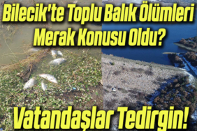 balık