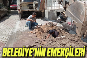 belediye