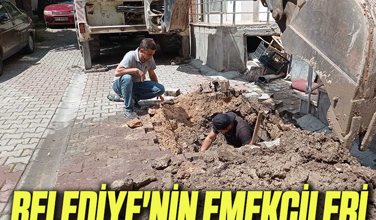 belediye