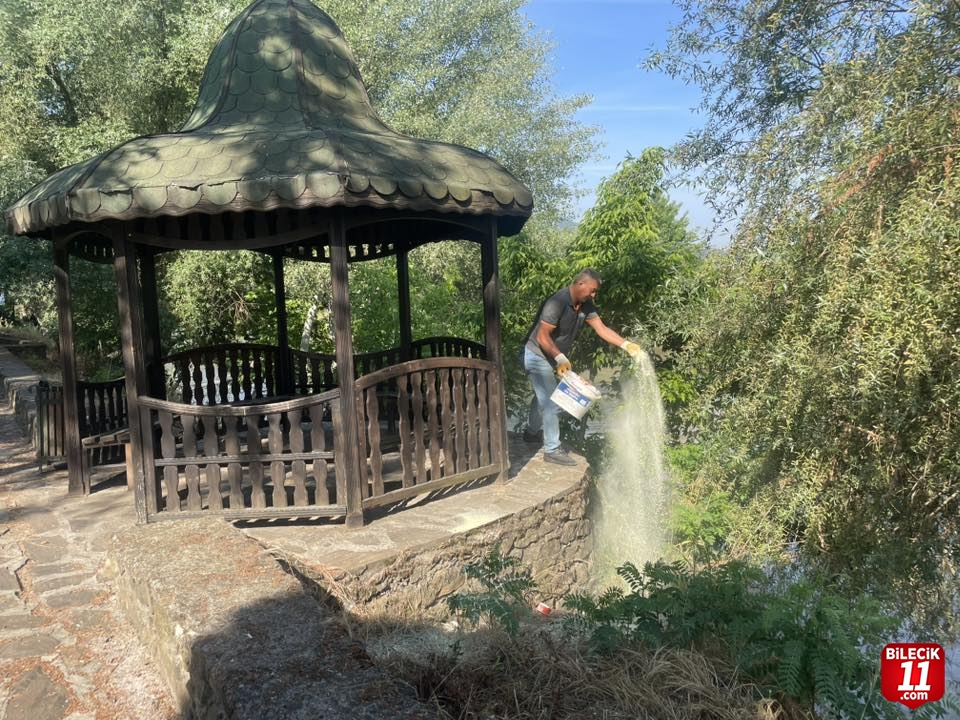 MESİRE ALANI İLAÇLANDI