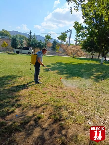 Mesire Alanları ve Kamelyalar İlaçlandı