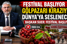 festii