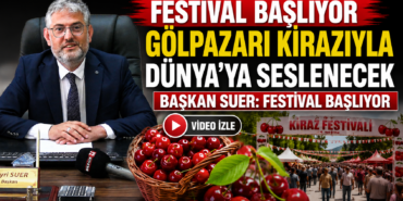 festii