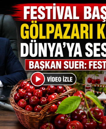 festii
