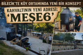 meşe6