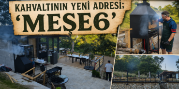 meşe6