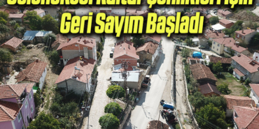 şen