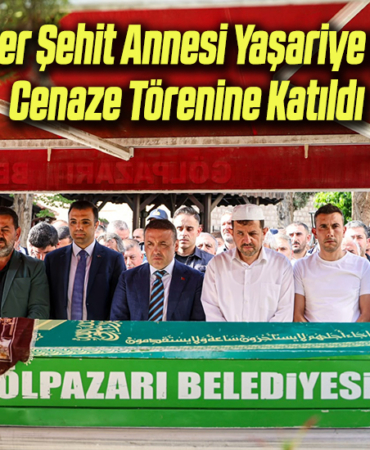 şş