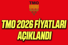 tmo