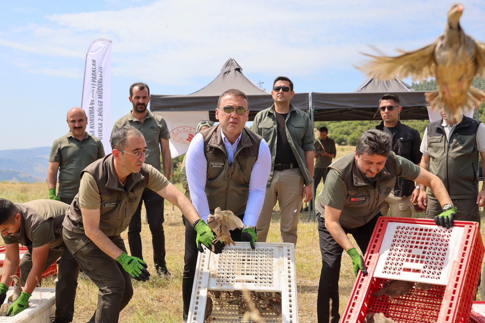 Bilecik'te 300 Kınalı Keklik Doğayla Buluşturuldu