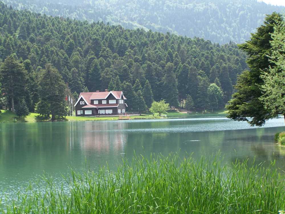 KOMŞUMUZ YEŞİLİYLE ZİRVEDE