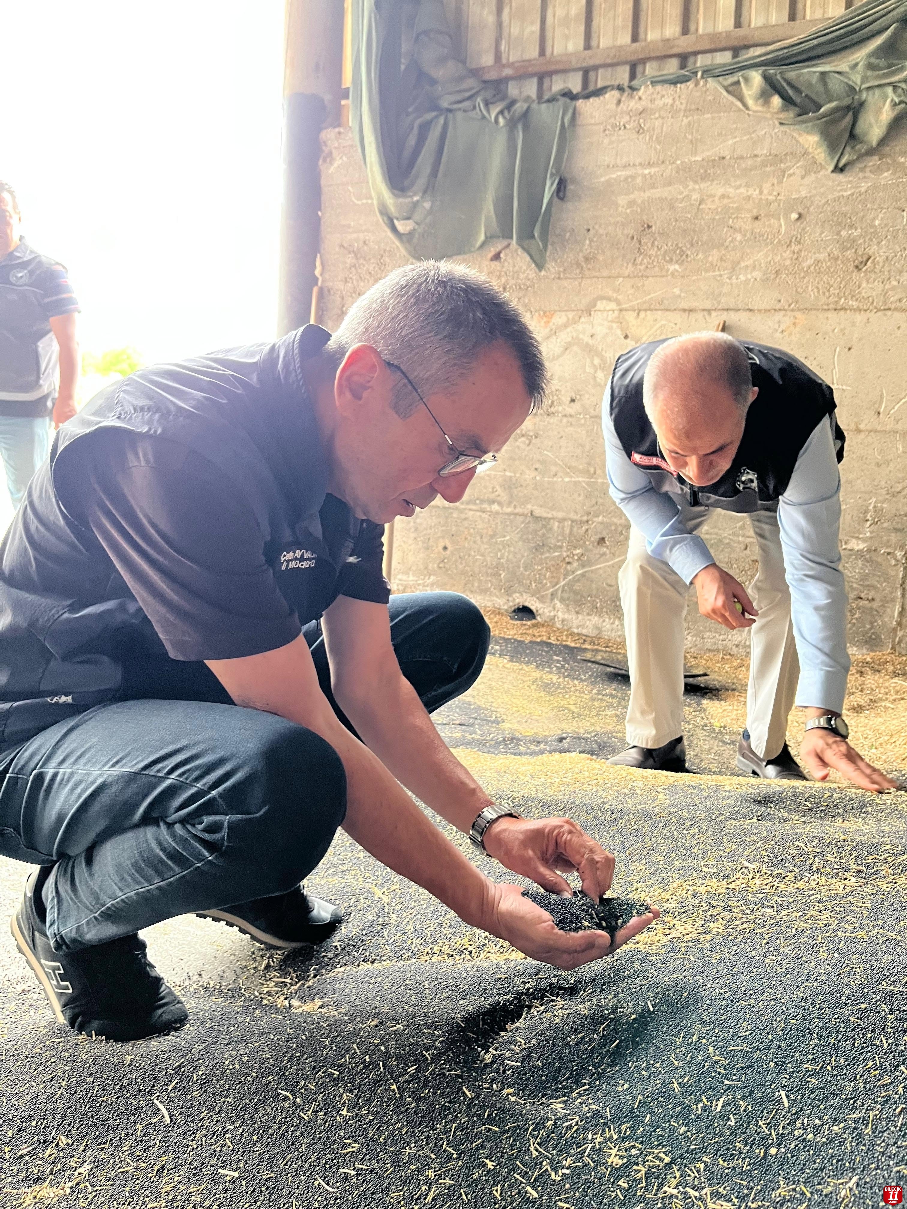 MÜDÜR AYVALIK İNCELEMELERDE BULUNDU