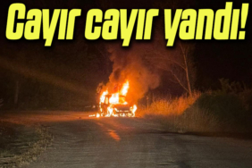 cayır