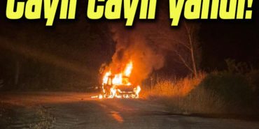 cayır