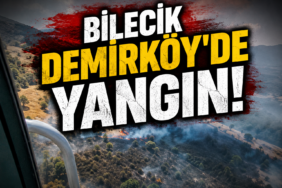 demir