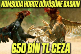 hh