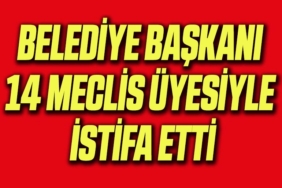 ii
