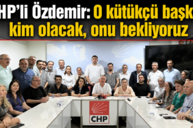 kütük