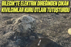 oo
