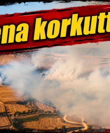 Kokru