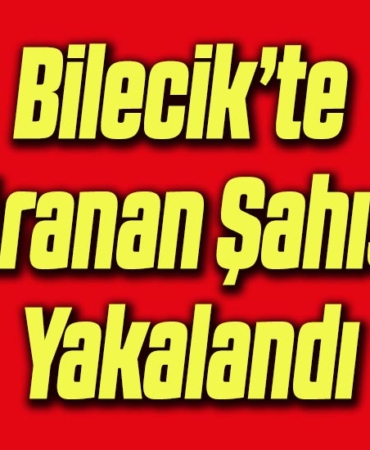 YY